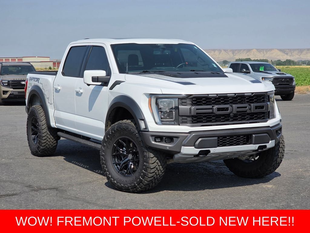 2022 Ford F-150 Raptor