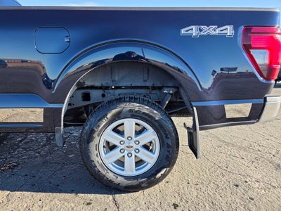 2024 Ford F-150 XL