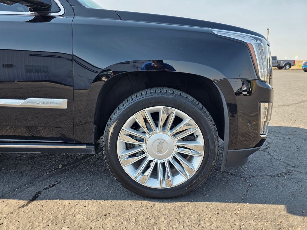 2019 Cadillac Escalade Platinum Edition