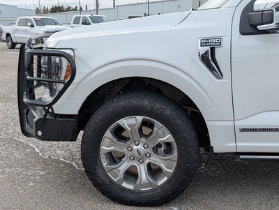 2022 Ford F-150 Platinum