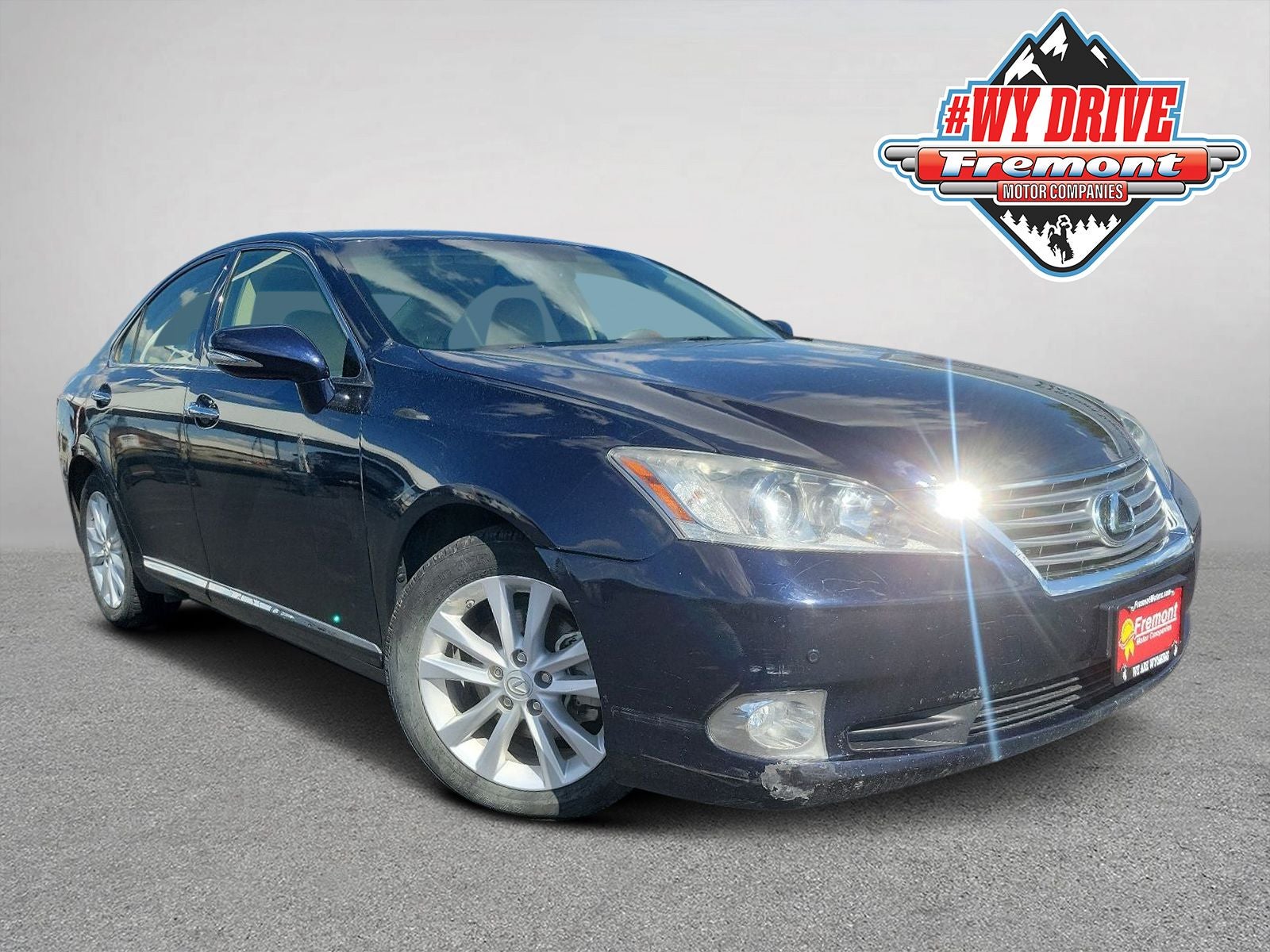 2010 Lexus ES 350