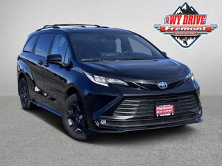 2025 Toyota Sienna XLE 7 Passenger