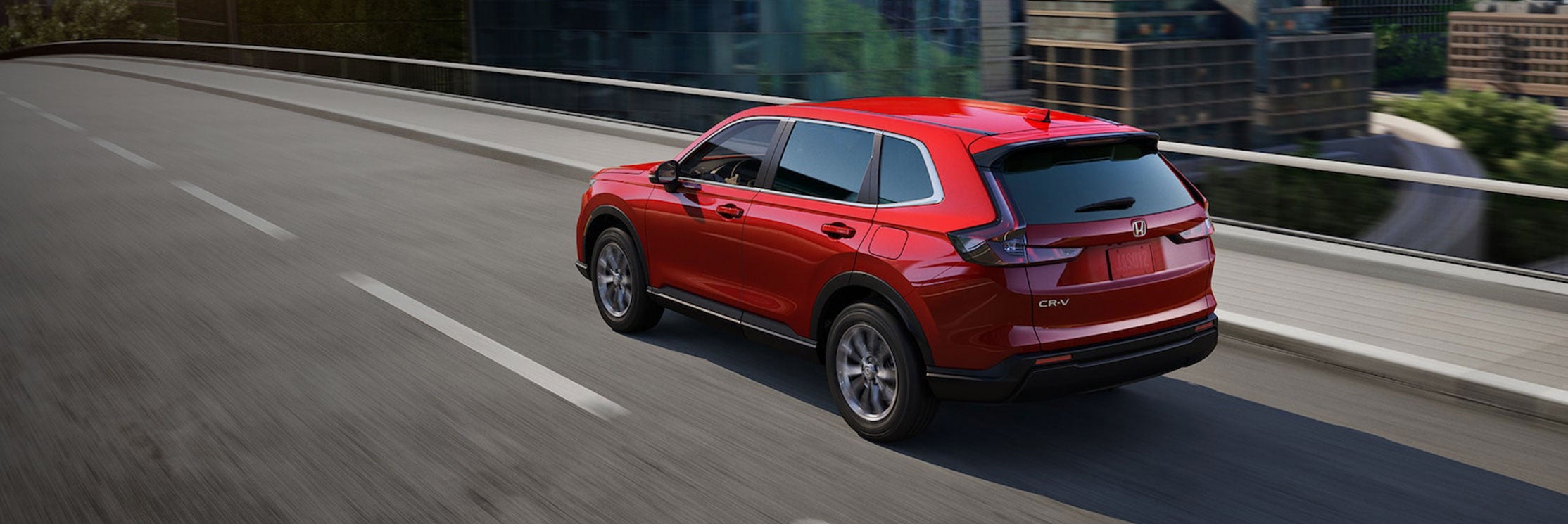 Check Out our Hot Deals!